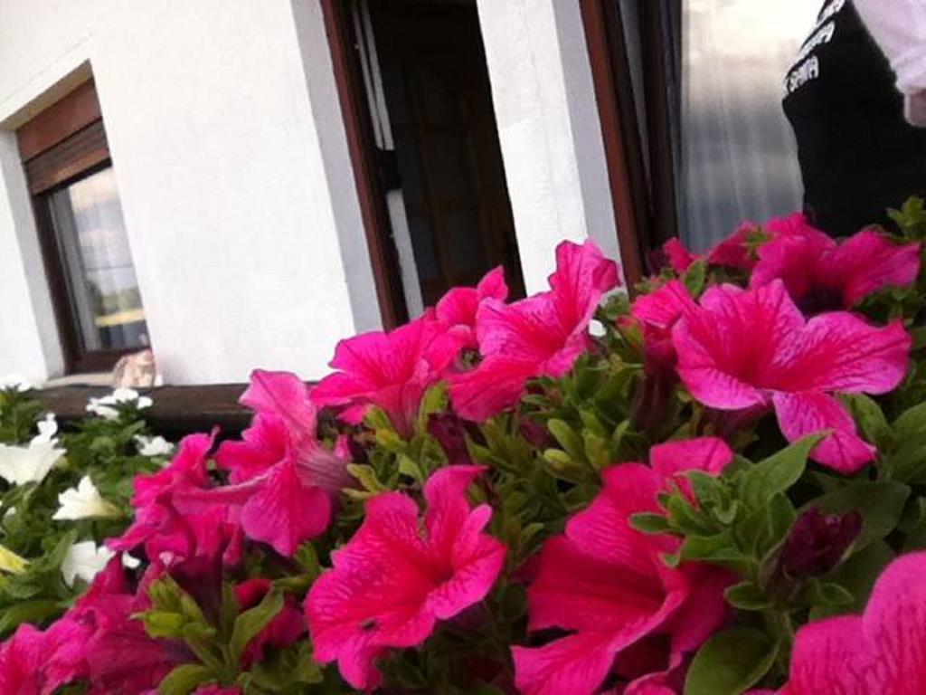 Guesthouse Magdalena Rakovica Habitación foto